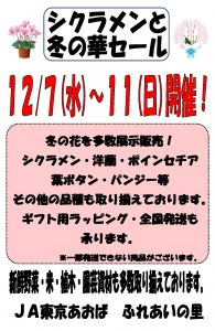 2022 ふれあいの里シクラメンセールチラシ